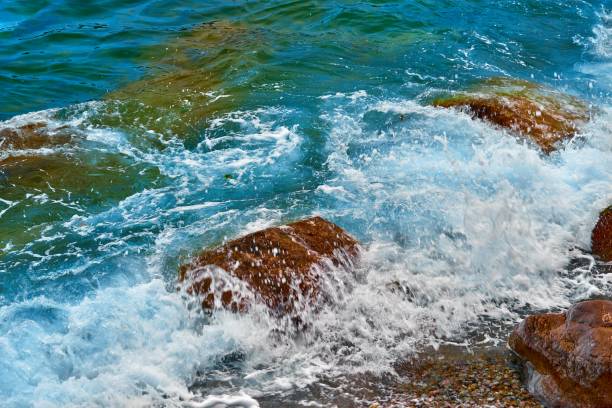 istock stones under sea foam 1218595916