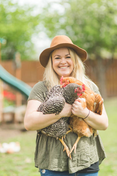 istock Urban Chicken Farm! 1218597152