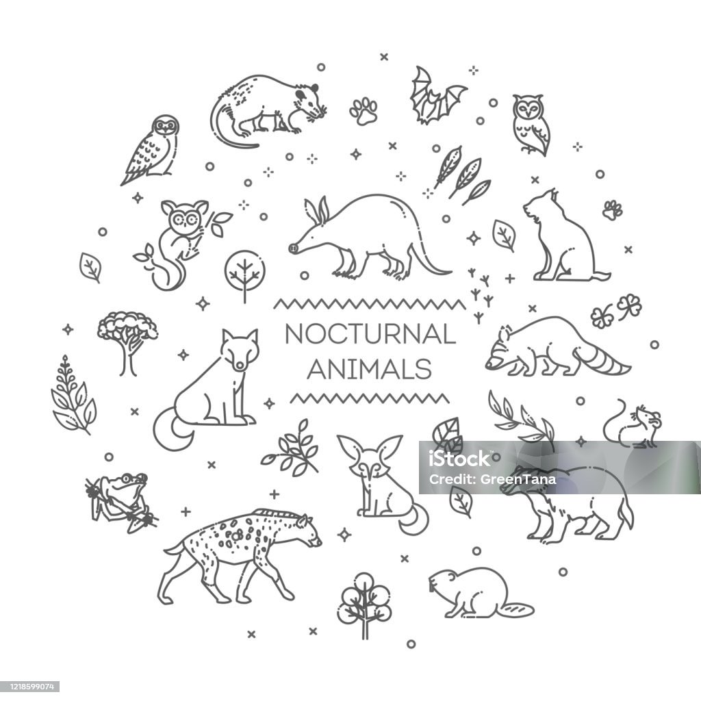 Ilustración de Vector Conjunto De Animales Nocturnos Vectoriales Lineales y  más Vectores Libres de Derechos de Castor - iStock