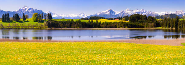 Lake Şirata, located north of Şavşat between Pınarlı Village and the foothills of Göze Mountain, is a tectonic lake formed by snow and rainwater. Located at an altitude of approximately 2000-2300 meters, it is fed by heavy, prolonged snow and rainwater.