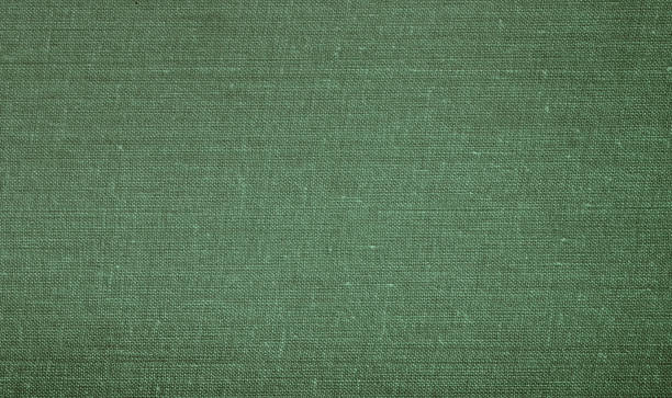 background fabric texture made from the cover of an old book