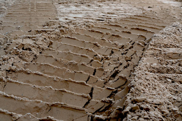 Hydraulics tractor Bulldozer on the sand,level the ground,Con struction of street.