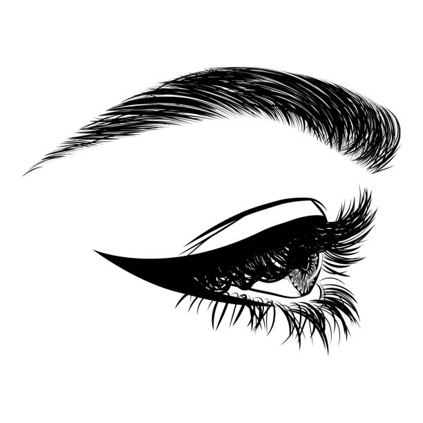 Illustration with side view of woman's eye, eyelashes and eyebrow. Illustration with side view of woman's eye, eyelashes and eyebrow. Makeup Look. Tattoo design. Logo for brow bar or lash salon. eyeliner brush stock illustrations