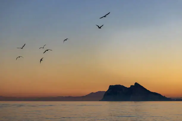 Photo of Birds flying around the rock of Gibraltar at sunset