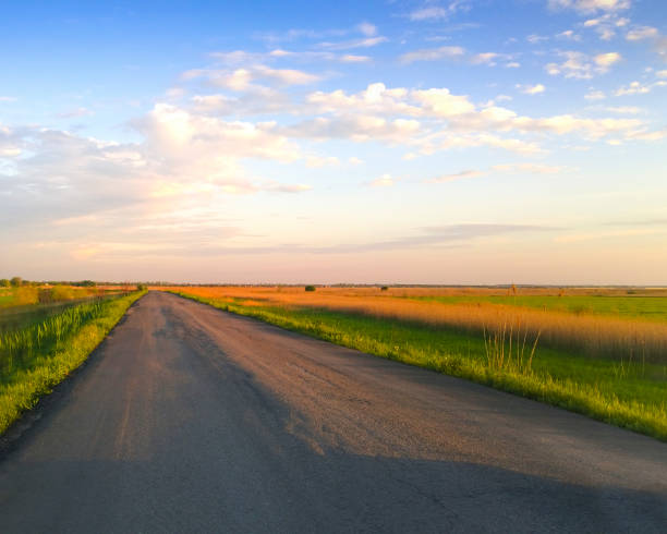 istock Countryside road in cloudy evening 1218605756