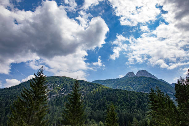 istock Green mountain forests and blue cloudy skies 1218607364
