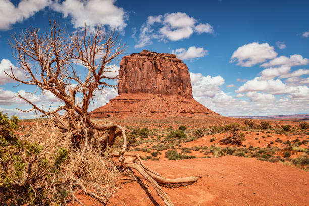 Beautiful Merrick Butte in Monument Valley under beautiful cumulus cloud summer skyscape. Monument Valley, Arizona, USA, North America.