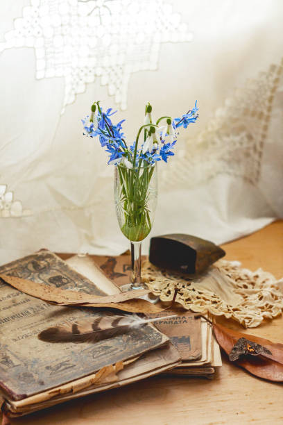 istock Still Life with snowdrops and Scilla 1218607836