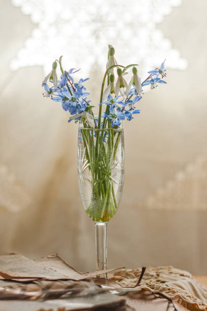 istock Still Life with snowdrops and Scilla 1218607839