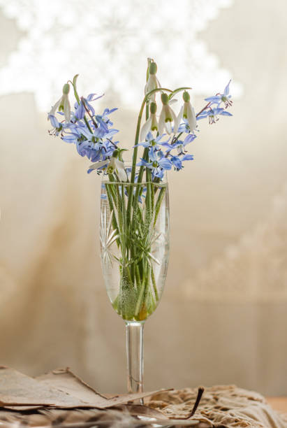 istock Still Life with snowdrops and Scilla 1218607894