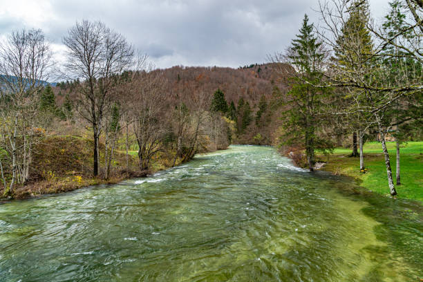 istock Stream of mountain river 1218609966