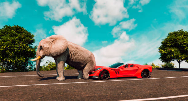 elephant distrugge costose auto sportive parcheggiate su una strada. - car insurance auto accidents accident foto e immagini stock