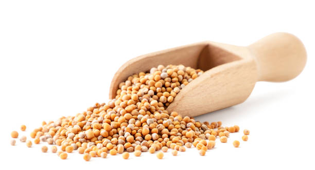 istock Mustard seeds in a wooden spoon on a white background. Isolated 1218611219