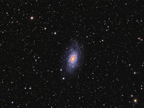 Galaxy NGC 2403 (Caldwell 7) in Camelopardalis constellation against starry sky