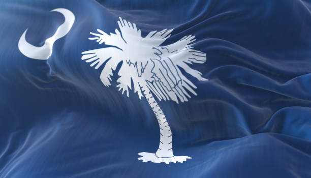 Flag of american state of South Carolina, region of the United States Flag of american state of South Carolina, region of the United States, waving at wind horry stock pictures, royalty-free photos & images