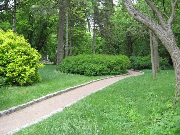 parco estivo con percorso tra alberi verdi - 13417 foto e immagini stock