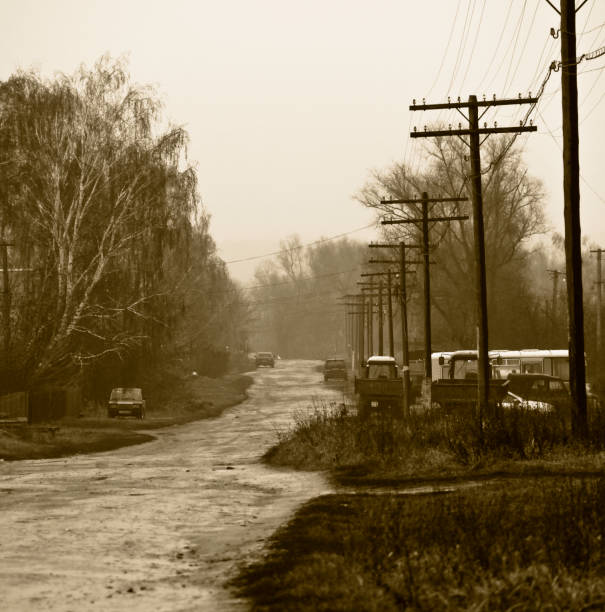 istock Village street after rain 1218613586