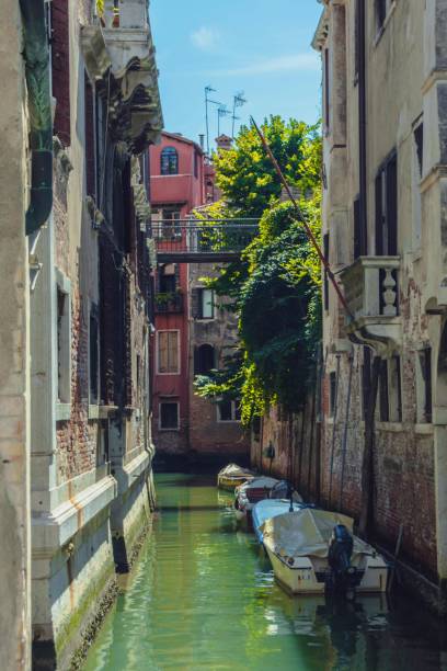 베네치아 - venice italy gondola grand canal luxury 뉴스 사진 이미지