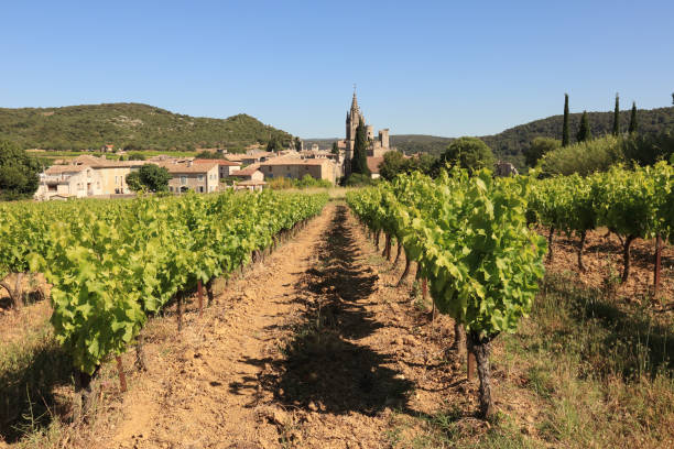 Village of Beaujolais at fall, view of vineyard and church