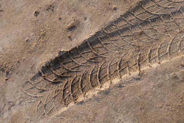 istock The tire tread imprint on the sand. 1218619407