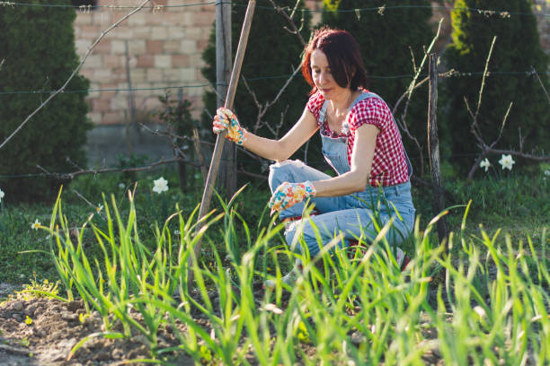 istock Woman in the garden 1218620630