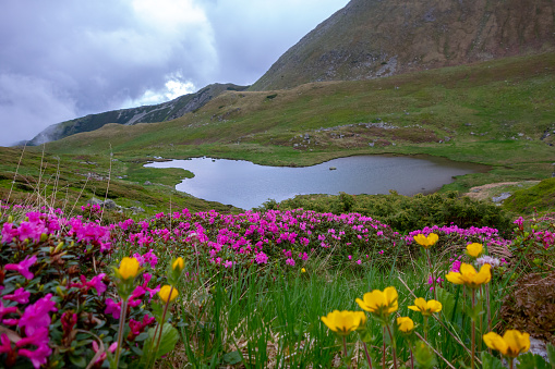 Lala Lake  - Rodnei  Mountains, Romania. Spring Landscape.