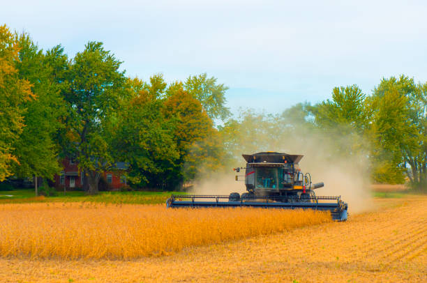 istock Harvest-Farm equipment at work-Howard County Indiana 1218622034
