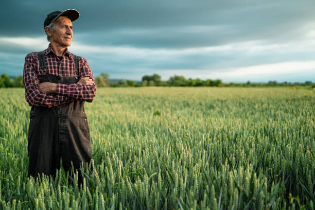 istock Senior farmer in wheat field 1218623771