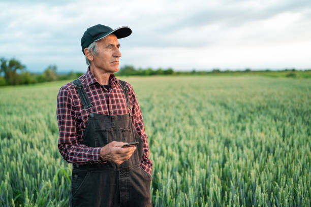 istock Senior farmer looking at smart phone in field 1218623776