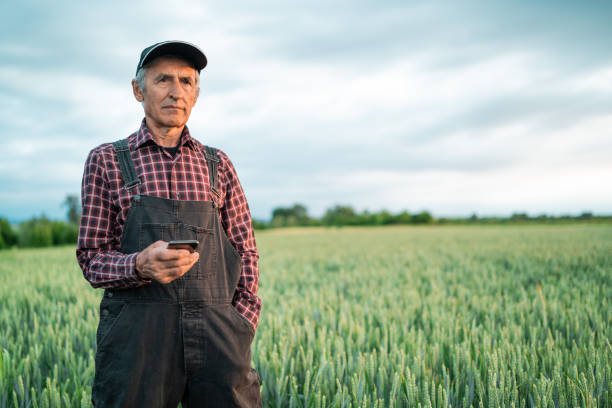 istock Senior farmer looking at smart phone in field 1218623780