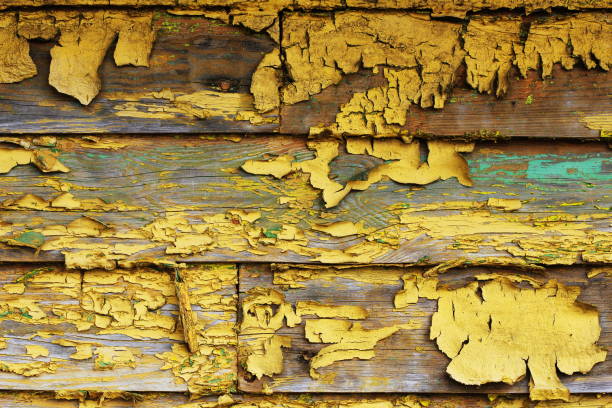 Background of old wood texture with peeling yellow paint .
