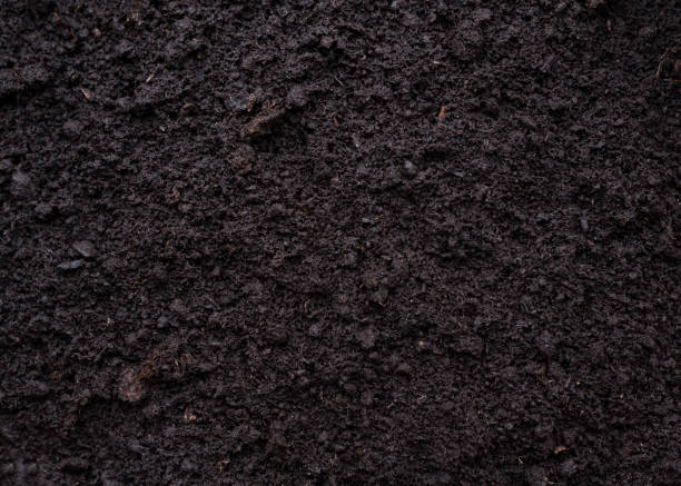 istock Texture of raw earth in the garden. 1218626149
