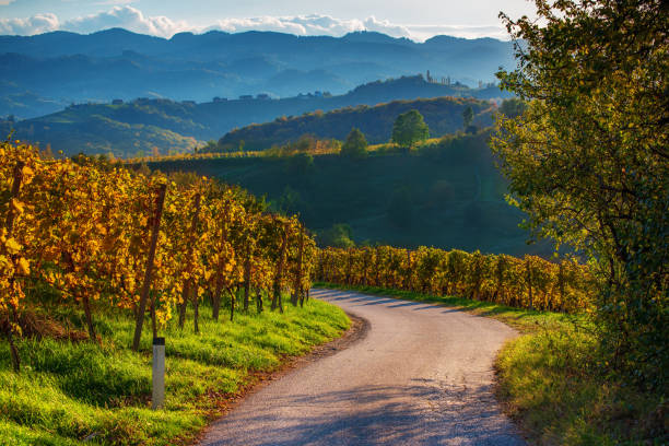 istock Slovenian and Austrian wine road 1218628629