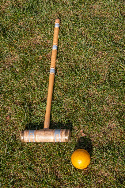 istock Croquet stick and ball on green grass 1218630244