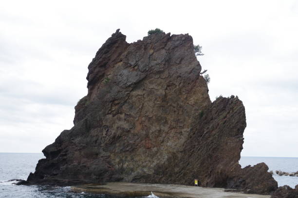 istock Turtle rock in Ulleungdo South korea 1218630499