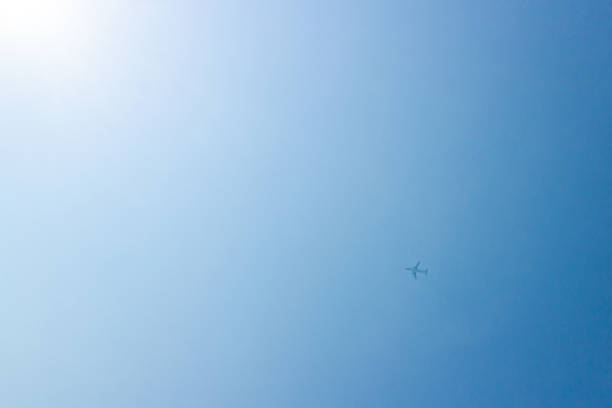 Small flying in the blue sky