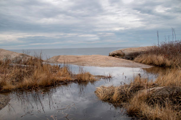 istock Winding river going toward the ocean on a cloudy day 1218632317