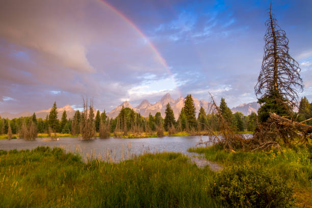 istock Rainbows in Grand Tetons 1218633480