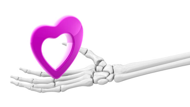 istock Heart shape in skeletal hand. 3D Illustration. 1218639582