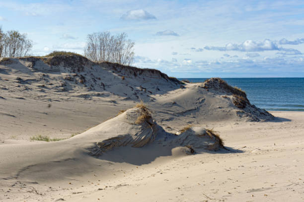 istock sand dunes on the sea beach, sand dunes 1218641599