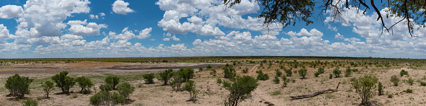 Panorama view of the landscape of the Khaudum National Park in the northeast of Namibia