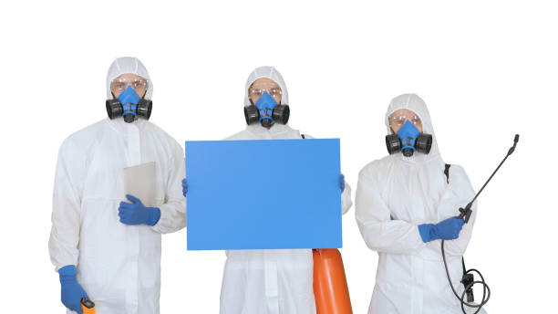 istock Group of epidemiologists in protective uniform holding blank pla 1218647455