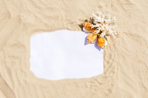 A note paper framed with sea sand, seashells and coral on golden sandy beach on a sunny day. Summer vacation and relaxation concept. Background with frame and copy space for text message
