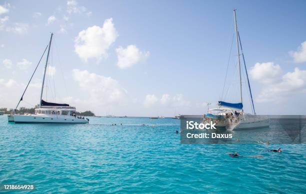Snorkeling In Carlisle Bay Barbados Stock Photo - Download Image Now - Barbados, Caribbean, Carlisle Bay