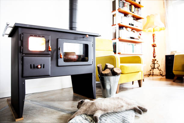 istock Staying At Home For Self Isolation,  Cat Sleeping At The Heater 1218659560