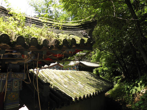 istock roofs, stairs and architecture details of a Buddhist monastery 1218659595