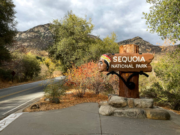 istock Entrance to Sequoia National Park 1218662792