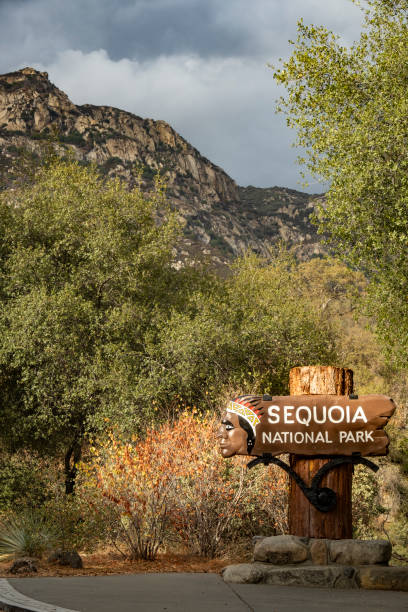 istock Entrance to Sequoia National Park 1218662897