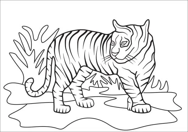 Vector illustration of Tiger coloring book