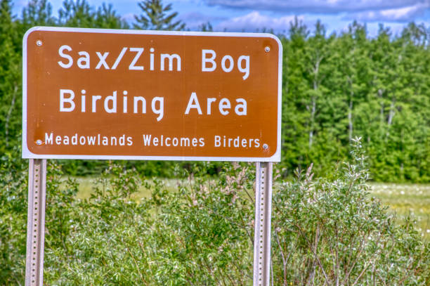 istock Sprawling nature preserve featuring bogs & forests in Northern Minnesota 1218664193